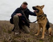 man in a stubble field with a young German Shepherd