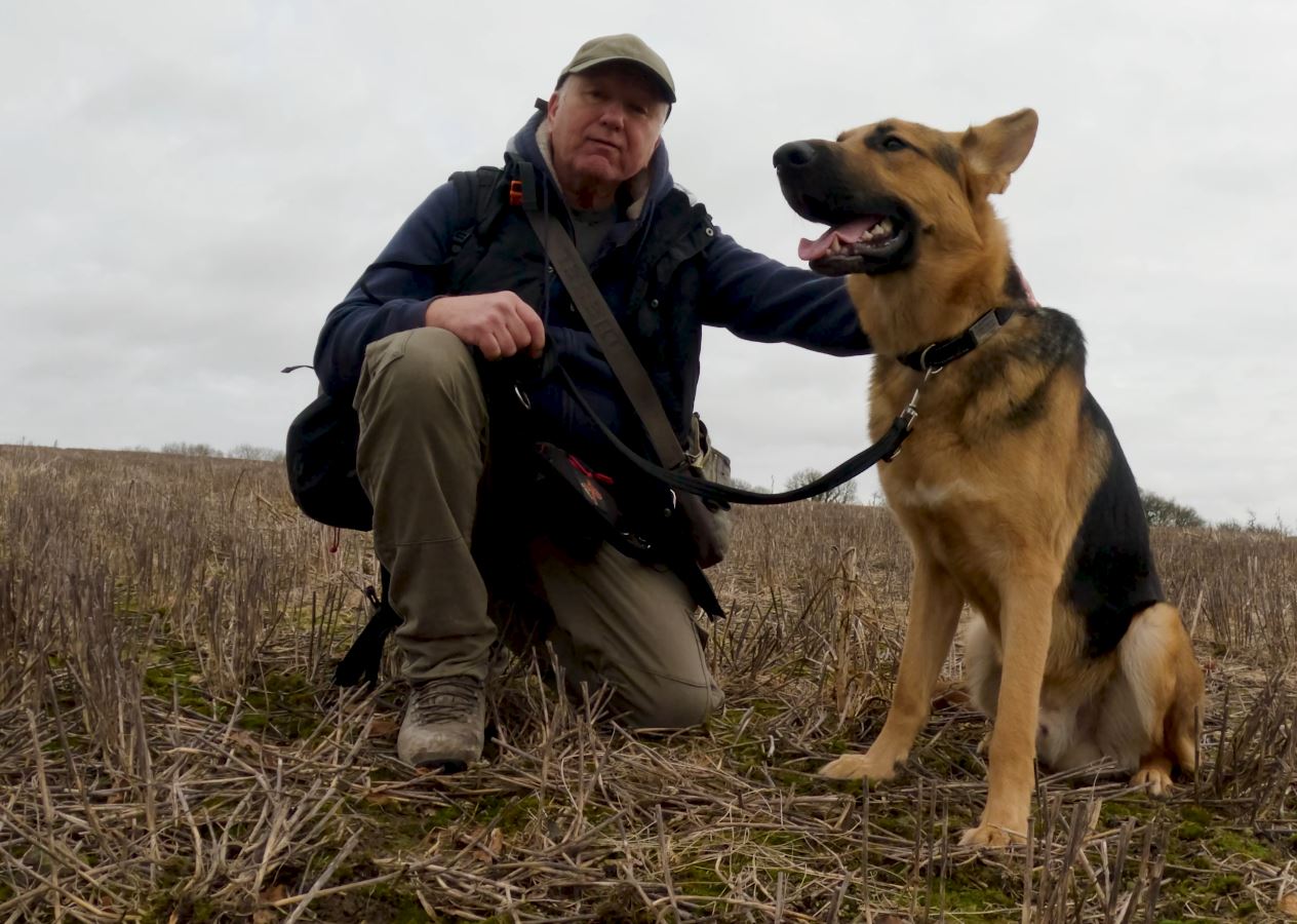 man in a stubble field with a young German Shepherd