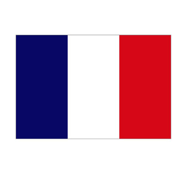 French flag on a white background