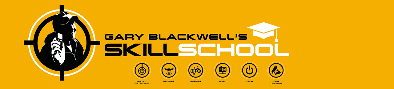 Skill school logo