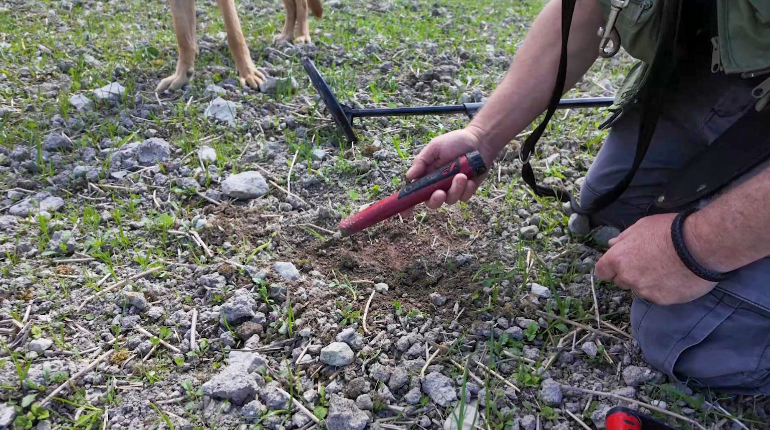 Metal detecting in Hampshire MI-6 pin pointer
