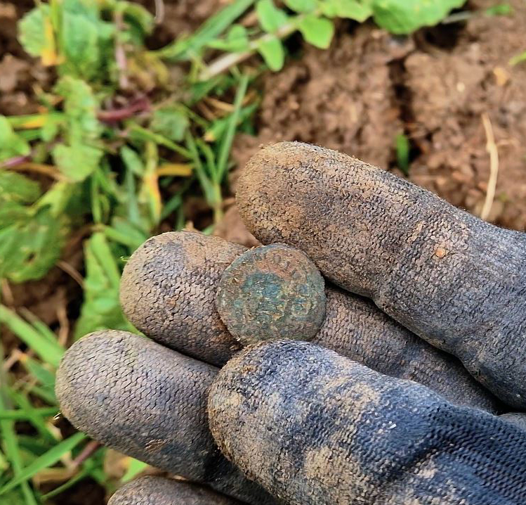 Minelab Vanquish roman coin