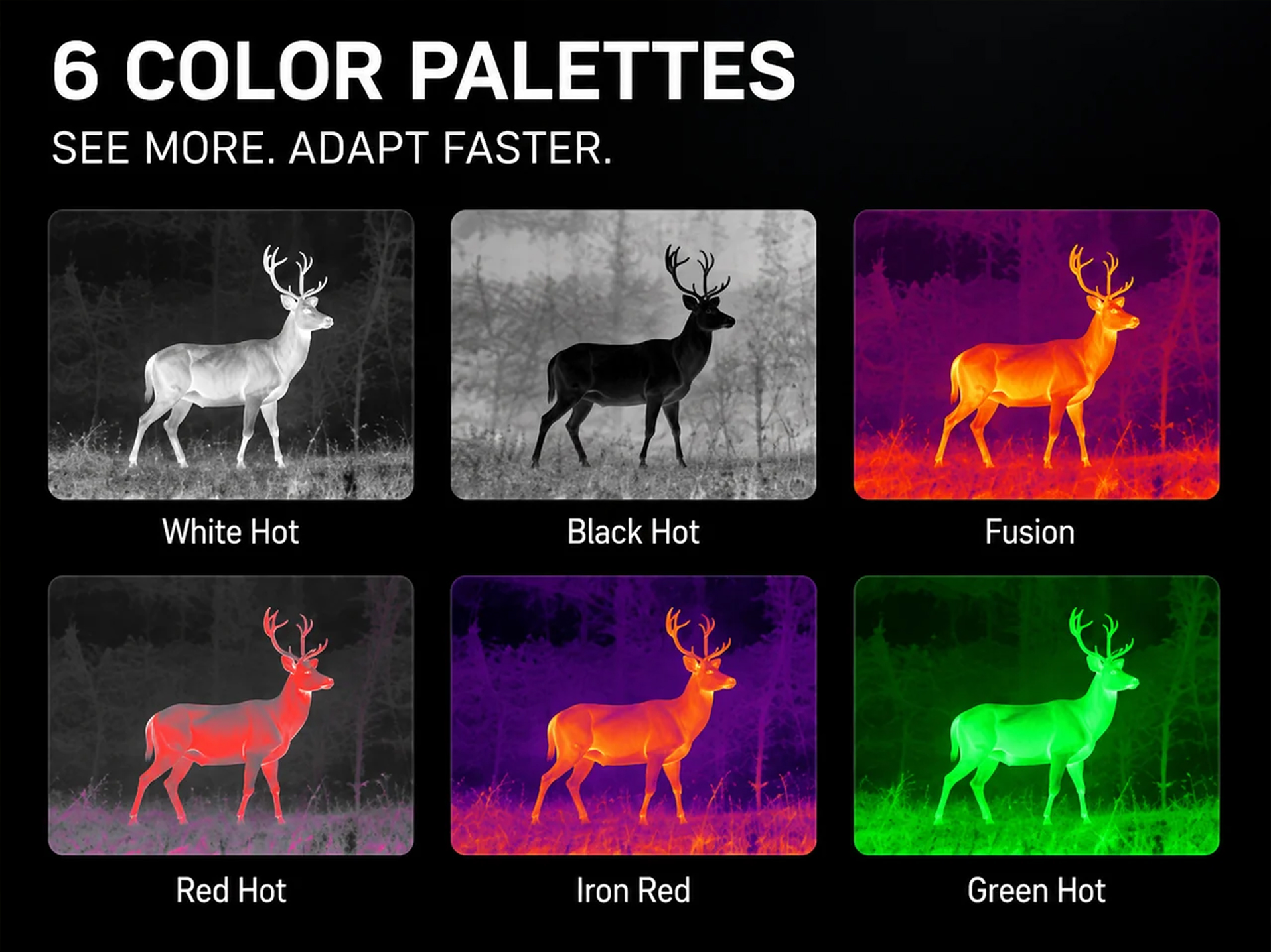 Goyojo Sentra 315 colour choices